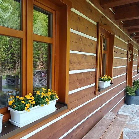 Apartmany U Vlcich Jam Petrowitz Kültér fotó