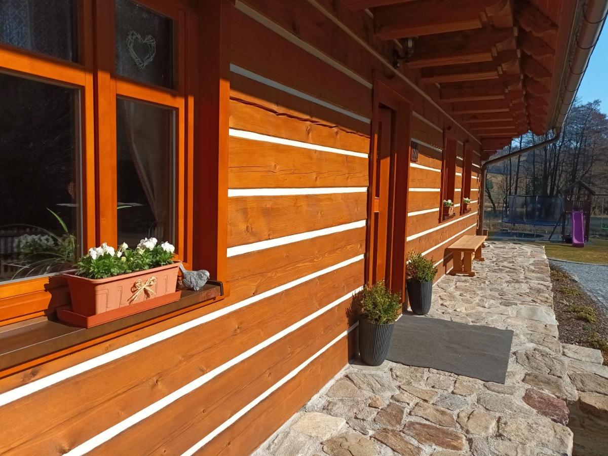 Apartmany U Vlcich Jam Petrowitz Kültér fotó